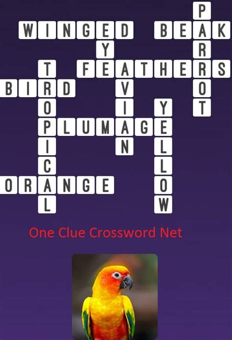 We found 20 possible solutions for this clue. . Large green parrot crossword clue
